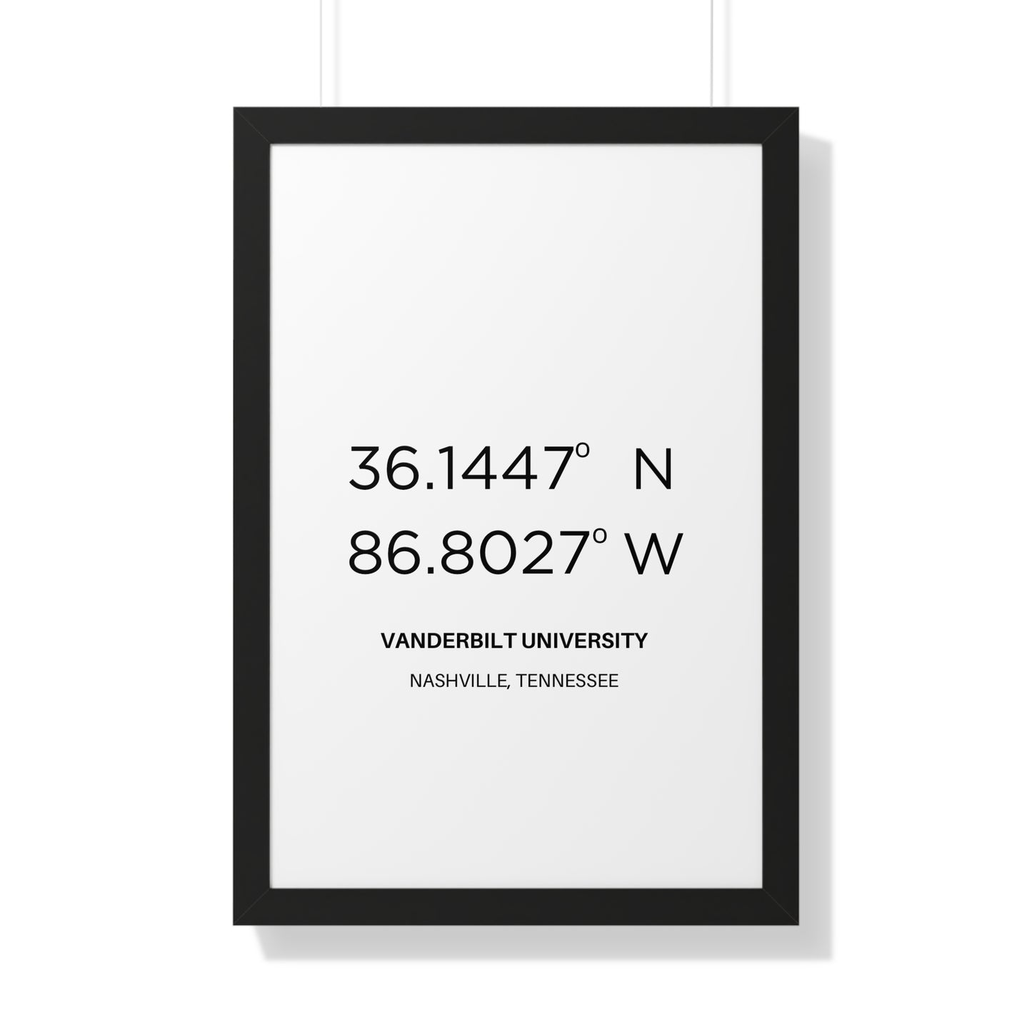 Vanderbilt University - The Vertical Jump